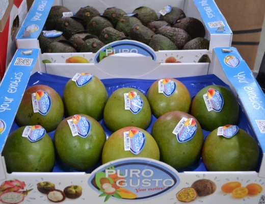 Spisemoden mango og avokado fra merkevaren Puro Gusto