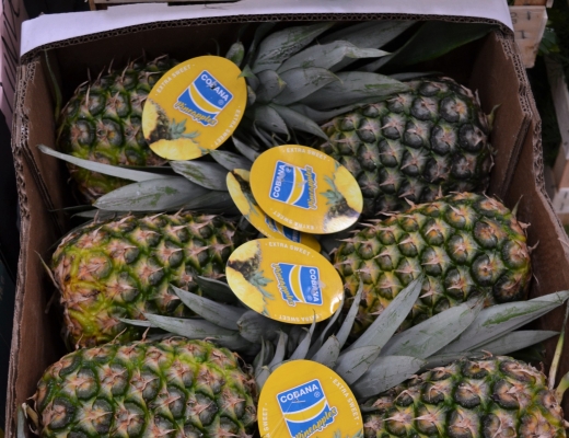 Ananas fra merkevaren Cobana p plass p Interfrukts lager